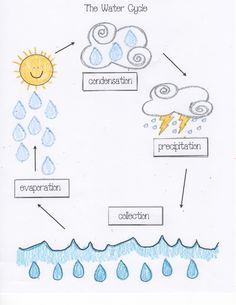 the water cycle worksheet for kids to learn how to use it in their classroom