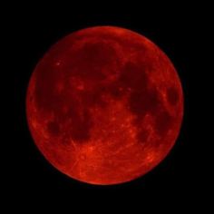 the full red moon is seen in the dark sky