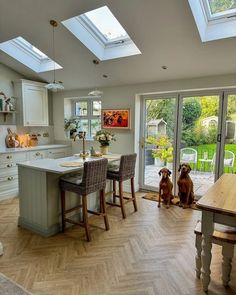 two dogs sitting in the middle of a kitchen with an open floor plan and skylights