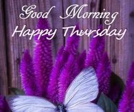 purple flowers with a white butterfly on them and the words good morning happy thursday