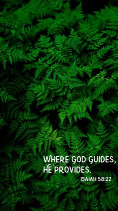 a green plant with the words, where god guides, he provides bible verses