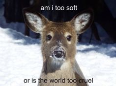 a deer with the words i am too soft or is the world too cruel?