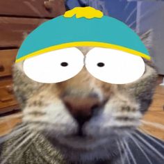 South Park
Meme
Cat
Cartman
Eric
Eric Cartman 
Fatty boo boo Cat South Park, Craig Pfp, The Villain, A Cat, Matter