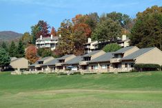 a row of houses on a hill with trees in the back ground and green grass