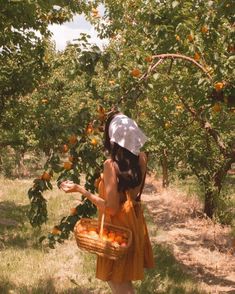 a woman in an orange dress is holding a basket and looking at the fruit on the tree