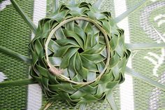 a close up of a plant on a rug