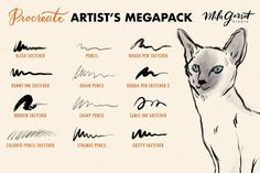 a drawing of a cat's megapack with different inks and colors on it