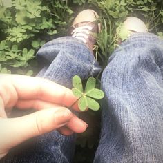 a person holding a four leaf clover in their lap while sitting on the grass with his legs crossed