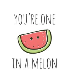 a watermelon slice with the words you're one in a melon