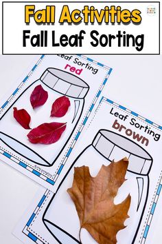 fall activities for kids to do with the leaves and sorting them into their own jars