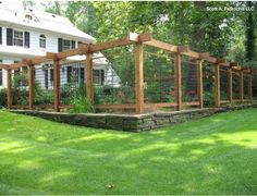 a fenced in yard with grass and trees