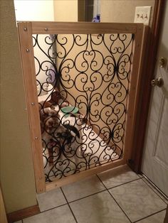 a dog is sitting in front of a gated entryway with its head sticking out