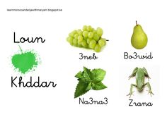 the names of different fruits and vegetables