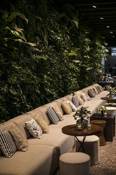 a living room filled with lots of couches and plants on the wall behind them