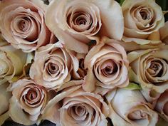 a bunch of pink roses are arranged together