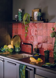 a kitchen with red tiles and green plants on the counter top, along with other items