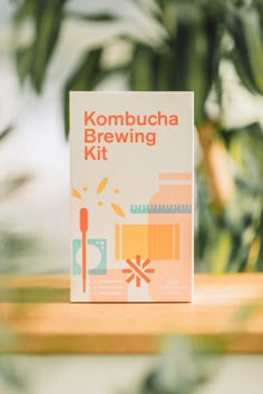 the kombucha brewing kit sits on a table next to a potted plant