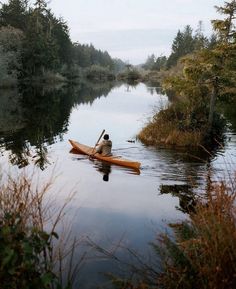 a man in a canoe paddling down a river with trees and bushes on both sides