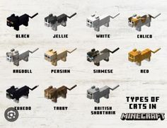 the different types of cats in minecraft are shown here, and they appear to be made out of paper