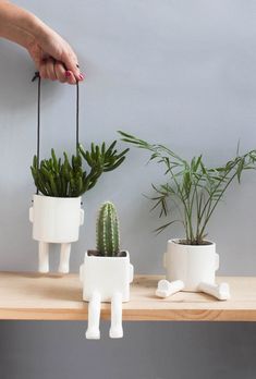 three white planters with plants in them sitting on a wooden shelf next to a wall