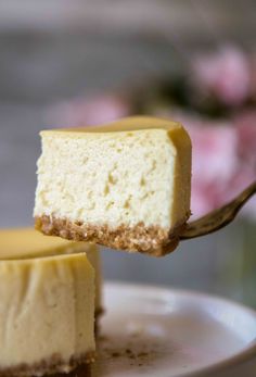 a piece of cheesecake is being held by a fork with the rest of it