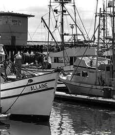 Harbour, boats, ocean Iconic Brands, Fine Art America, Boats, Iphone Cases, Ships, Fine Art