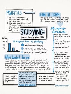 a whiteboard with blue writing on it that says studying and how to advice them