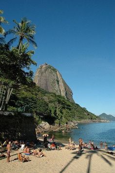 many people are on the beach and in the water