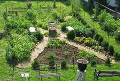 an aerial view of a vegetable garden with chairs and tables in the foreground, surrounded by green grass