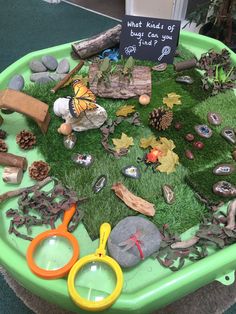 a green tray filled with lots of different types of plants and rocks on top of grass