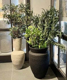 oversized planters luxury home decor on a budget