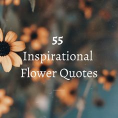 an orange flower with the words 55 inspirational flower quotes