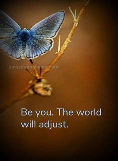 a blue butterfly sitting on top of a plant with the words be you the world will adjust