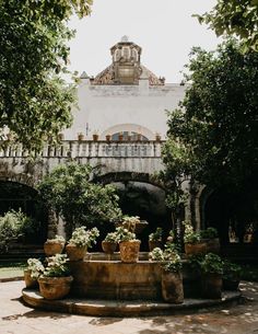 an outdoor fountain with potted plants in front of a building