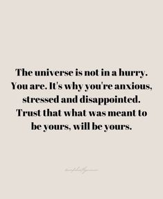 a quote that says, the universe is not in a hurry you are it's why