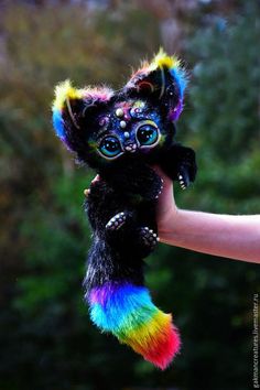 a hand holding a small black cat with multicolored fur