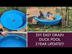 four pictures showing how to make an easy diy duck pool