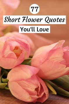 Short Flower Quotes Happy Flower Quotes, Short Poems About Flowers, Flower Quotes Short, Short Flower Quotes, Gardening Quotes Inspirational, Floral Inspirational Quotes, Flower Quotes Love