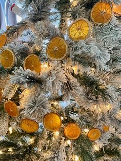 a christmas tree with oranges hanging from it