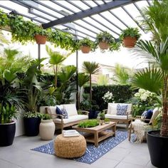 an outdoor patio with potted plants and couches