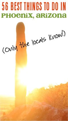 the sun shining behind a tall cactus with text overlay that reads, 5 best things to do in phoenix, arizona only the locals know