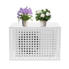 two potted plants sitting on top of a white perfored table next to each other