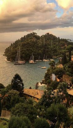 several sailboats are anchored in the water near some houses and trees on an island