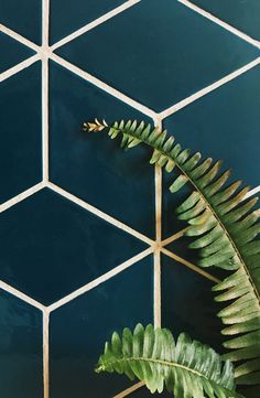 a green plant sitting on top of a blue tiled wall