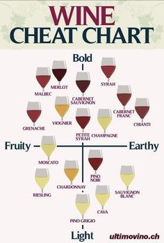 a wine chart with many different types of wines in each glass, including red and white