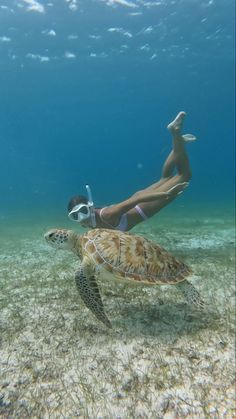 Swimming with sea turtle on tropical vacation Ocean Girl, Shotting Photo, Summer Goals, Ocean Vibes, A Turtle, Summer Bucket Lists, Summer Bucket, Summer Dream, Summer Photos