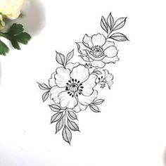 a drawing of flowers on a white paper next to a vase with roses in it