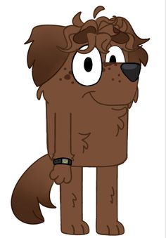 a brown dog with big eyes and a collar on it's neck, standing in front of a white background