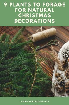 just lights christmas tree Natural Foliage Christmas Decorations, Natural Christmas Decor Outdoor, Christmas In Nature, Forage Christmas Decorations, Foraging Christmas Decor, Foraged Christmas Decor, Decorate With Nature, Diy Stick Decor, Christmas Decor Ideas Natural