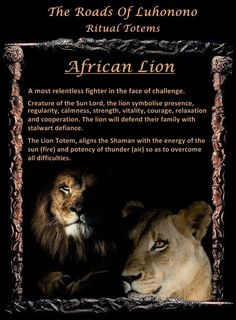 an african lion and a lioness in front of a black background